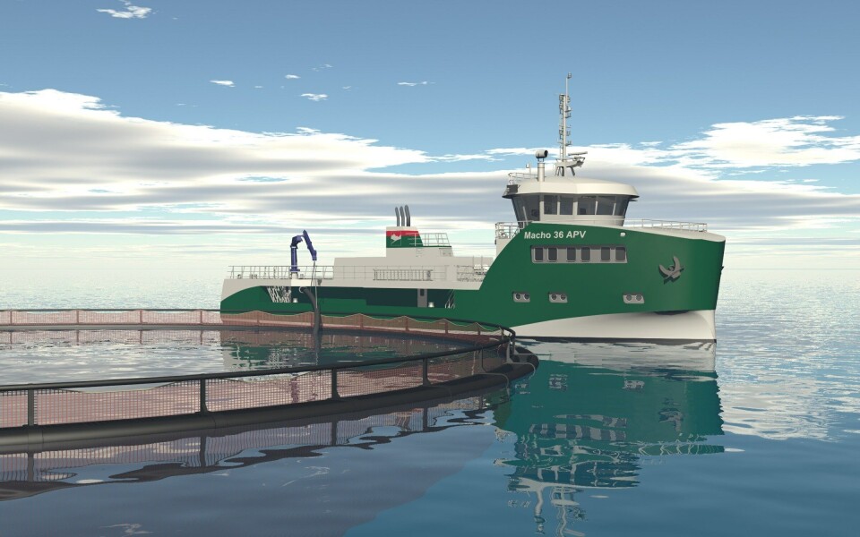 Møre Maritime i Kristiansund inngikk i 2015 designkontrakt om utvikling av et havbruk slaktefartøy på 36 x 12 meter til 'De Bruyn Transport' i Tasmania. Foto: Møre Maritime.