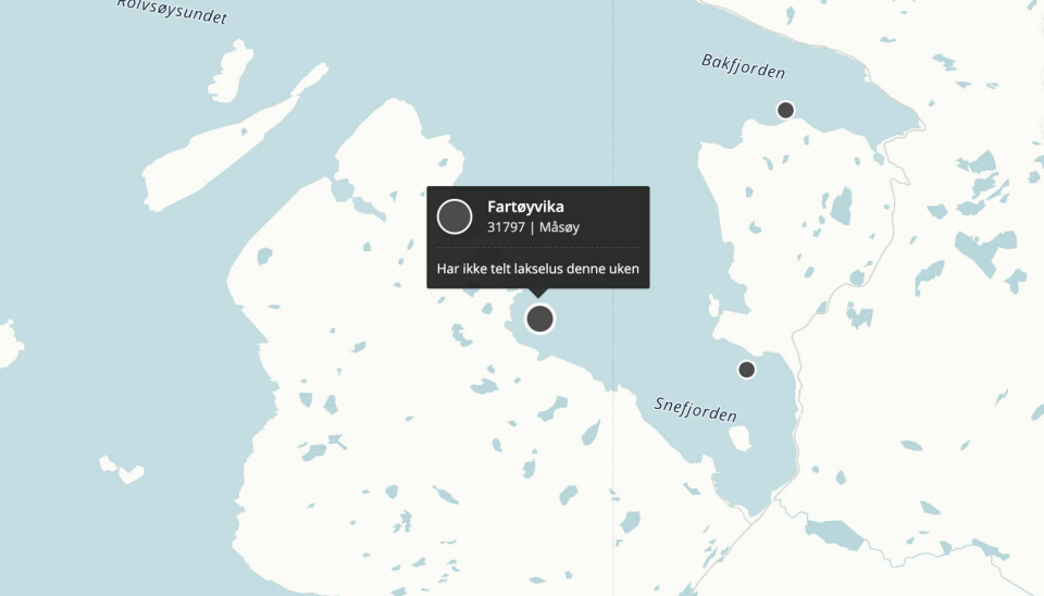Salmar-lokalitet Fartøyvika.