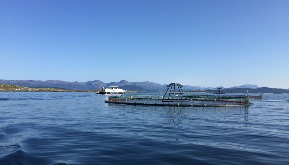 Svanøy Havbruk sin lokalitet Vågsøya.