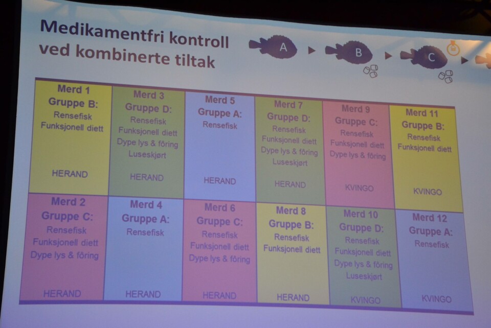Oppsett av feltforsøk rundt kombinasjon av metoder mot lus gjennomført ved CAC i regi av Marine Harvest, Skretting og Akva Group. Foto: Linn Therese Skår Hosteland.