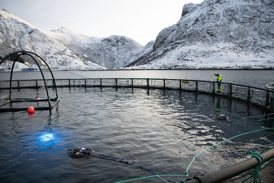 Stingray sine lasere på plass hos Egil Kristoffersen og Sønner i Bø i Vesterålen. Foto: Stingray.