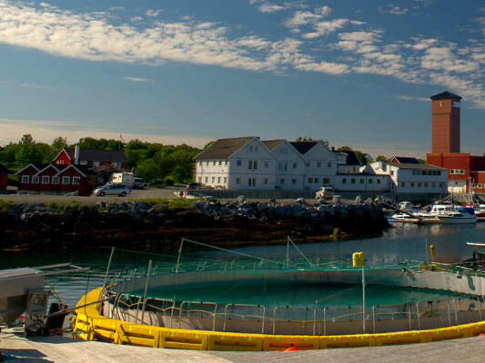 Aquaculture Innovation, lukket anlegg