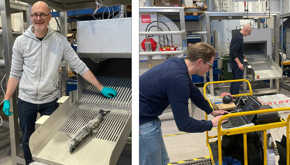 Fishwell Technology på besøk hos Servi Group i Trondheim for å teste sine produkt mot dødfiskpumpen Servi CleanPump. Til venstre: Thomas Haslestad, CTO i Fishwell Technology; fornøyd etter testing av GOODeye Stress Detection sammen med Servi CleanPump. Fishwell Technology på besøk hos Servi Group i Trondheim for å teste sine produkt mot dødfiskpumpen Servi CleanPump. Til venstre: Thomas Haslestad, CTO i Fishwell Technology; fornøyd etter testing av GOODeye Stress Detection sammen med Servi CleanPump.