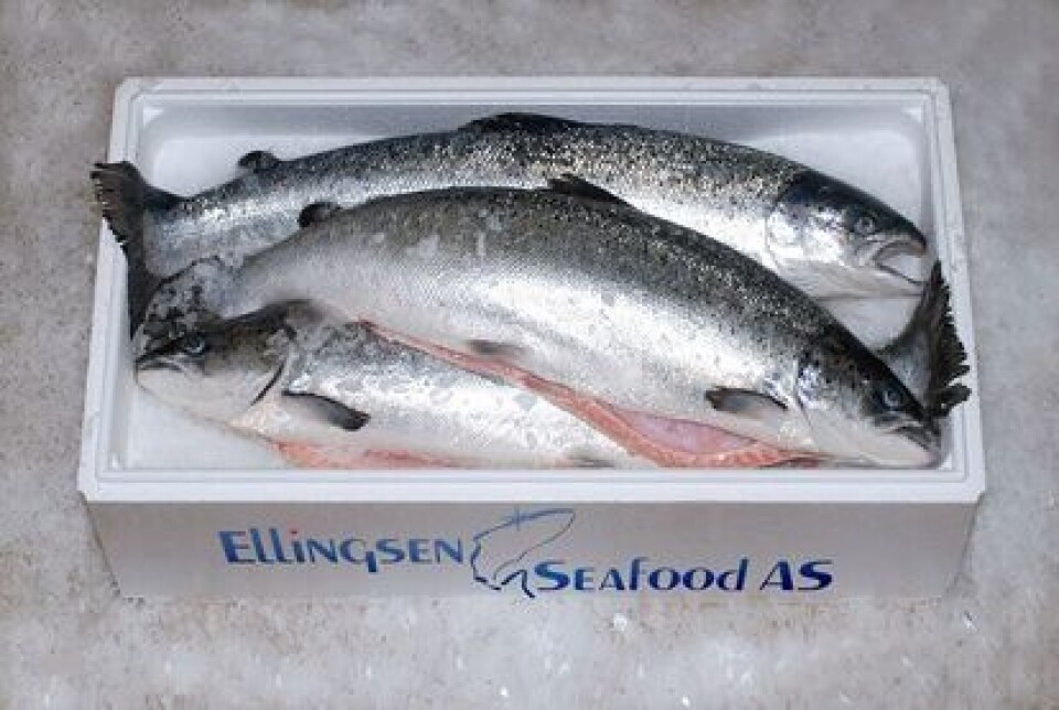 Ellingsen, fryst laks, kasse, boks, is, transport.