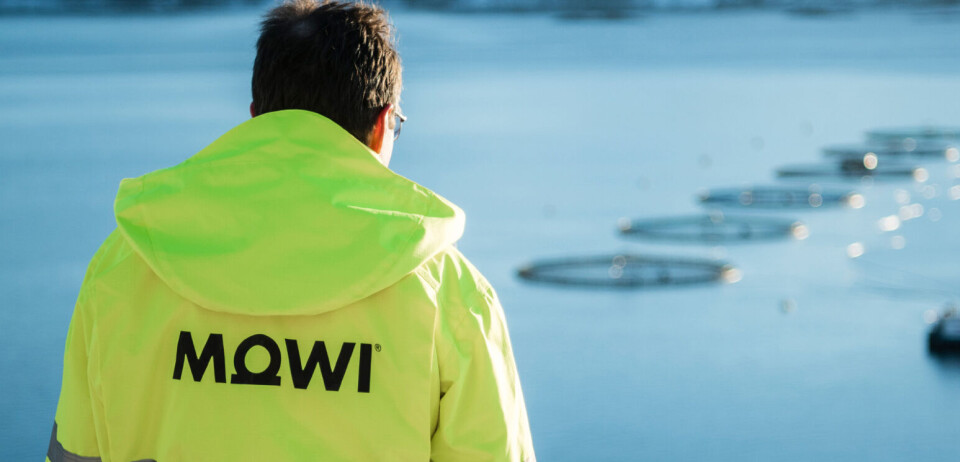 Det er blitt påvist ILA på Mowi sin lokalitet Sandvika, i Volda.