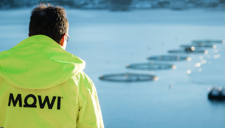 Mattilsynet har sendt prøver til Veterinærinstituttet for å eventuelt bekrefte ILA ved lokaliteten. Mattilsynet har sendt prøver til Veterinærinstituttet for å eventuelt bekrefte ILA ved lokaliteten.