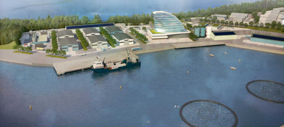 Tommel opp til torskelokalitet