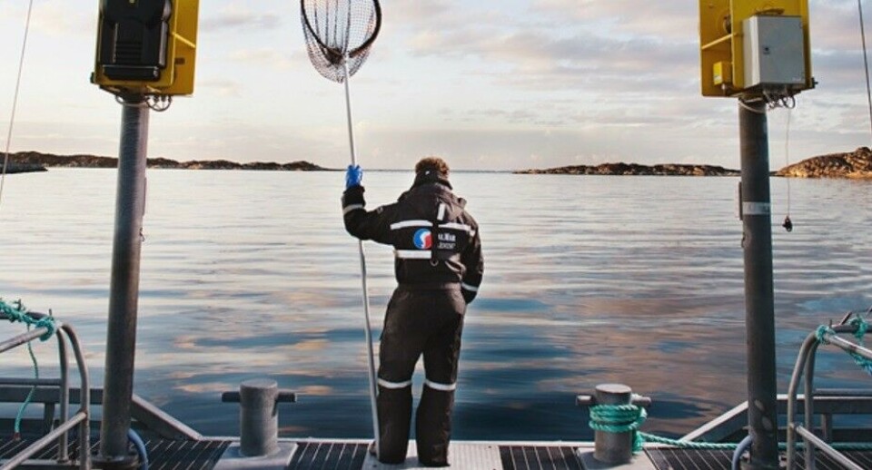 Mowi trakk budet sitt på NTS etter at SalMar kom på banen med et konkurrerende bud. Foto: SalMar Mowi trakk budet sitt på NTS etter at SalMar kom på banen med et konkurrerende bud. Foto: SalMar