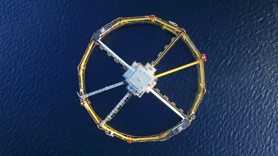 Ocean Farming AS fikk åtte utviklingstillatelser i 2016, og SalMar de første som søkte om utviklingstillatelser. Foto: Salmar
