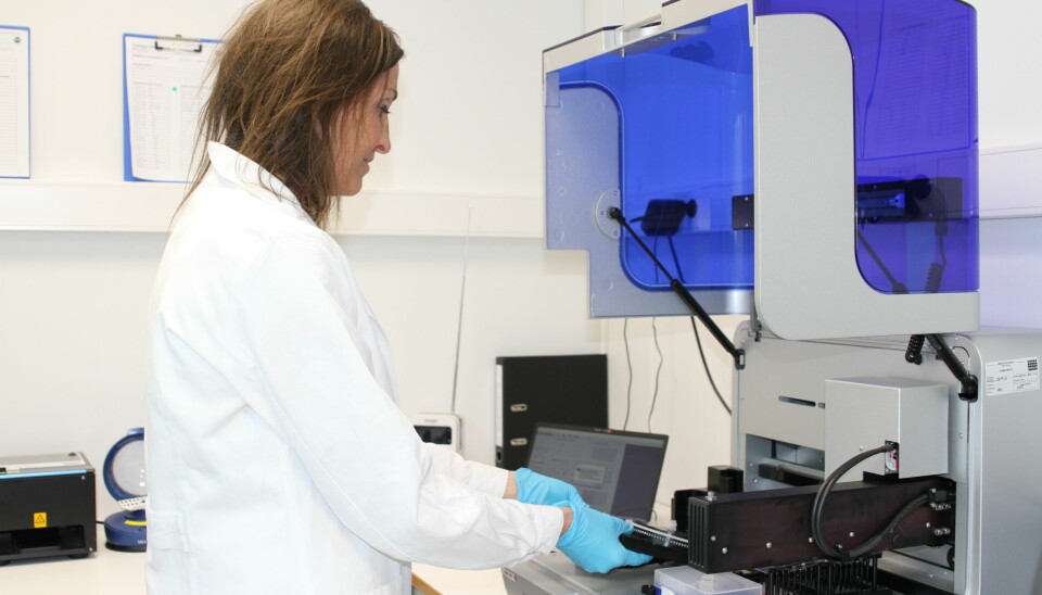 Klargjøring av prøver til PCR-analyse på laboratoriet hos Blue Analytics.
