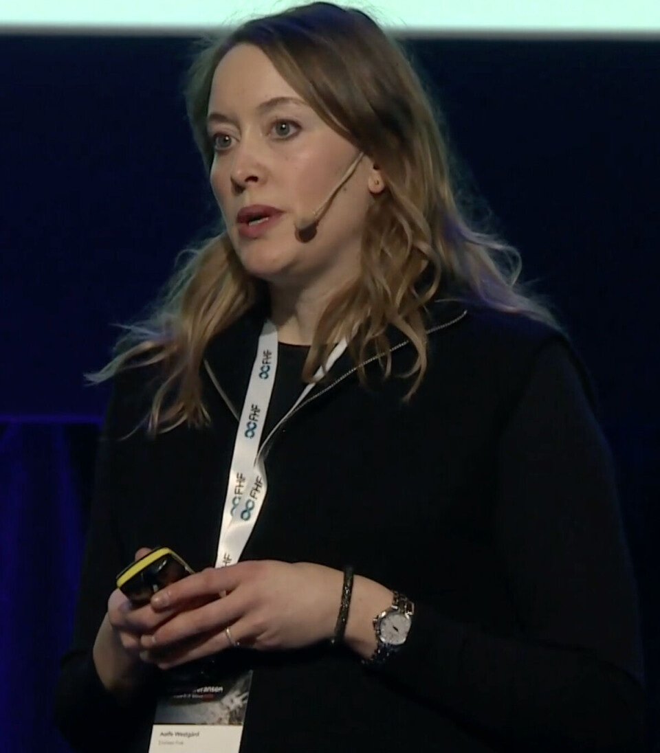 Leder for Akvaveterinærenes forening, Aoife Westgård
