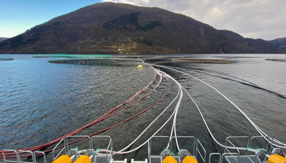 Slam som i dag vaskes ut i sjøen fra norsk oppdrettsanlegg kan forsyne inntil 600000 husstander med strøm, og dekke behovet for fosforgjødsel tilsvarende hele det svenske landbruket hvert år.