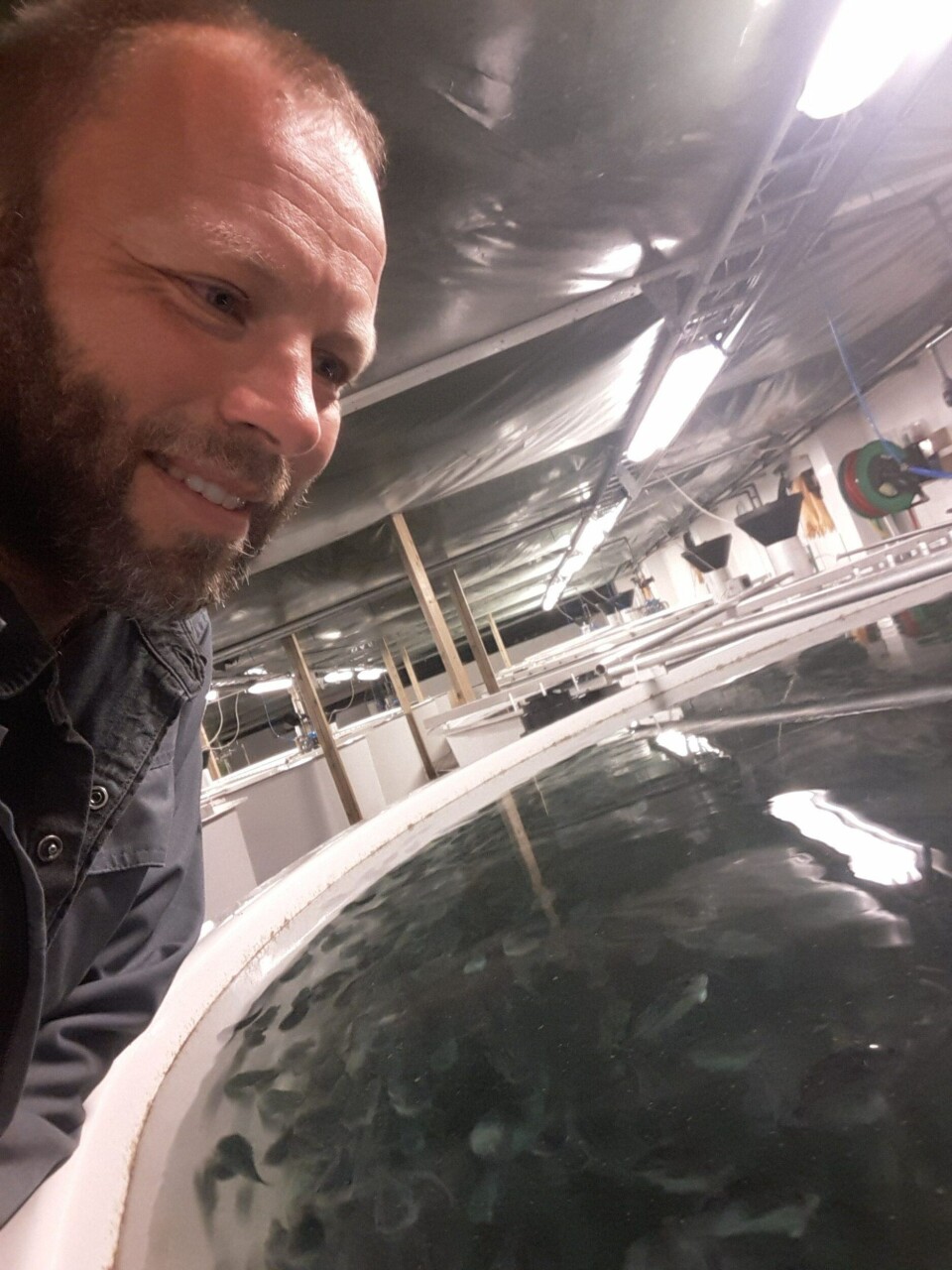 Daglig leder Svein Martinsen i Tjeldbergodden Rensefisk sier de prøver å få fisken opp i 500 døgngrader for å gjøre den så robust som mulig. Foto: Tjeldbergodden Rensefisk.