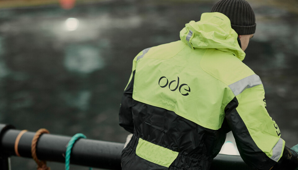 Gadus Group skifter navn - Dette skal de hete nå