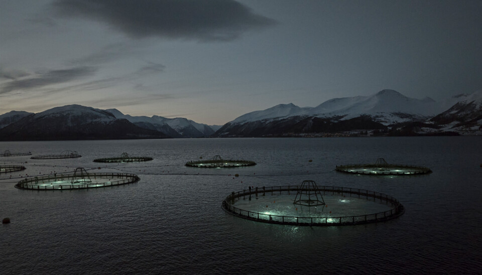 En av Ode sine lokaliteter for torskeoppdrett.