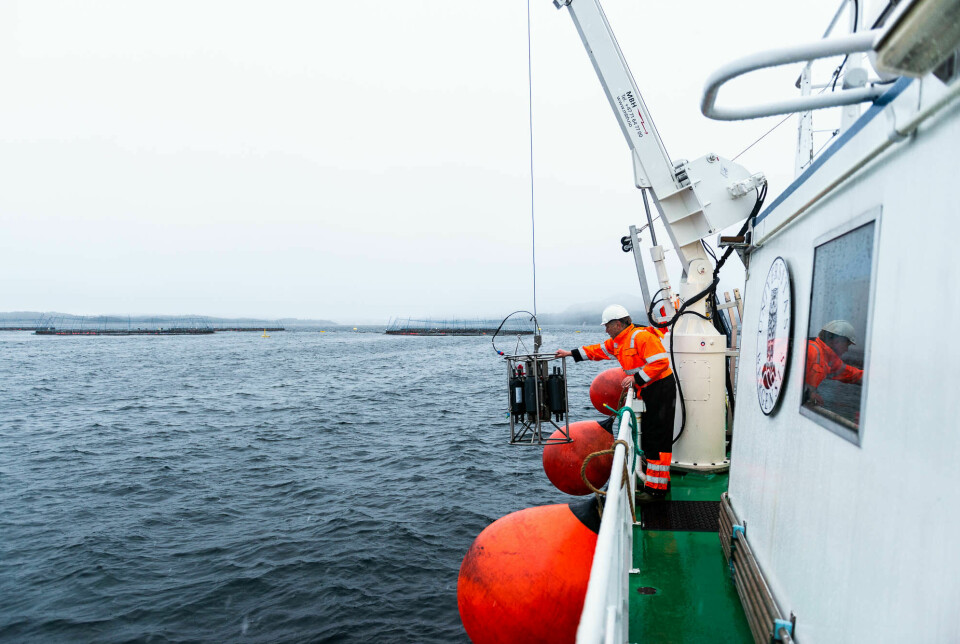 Forsker Bjørn Einar Grøsvik har tatt vannprøver som skal analyseres for kobber fra områder i nærheten av oppdrettsanlegg i Vestlandsfjordene.
