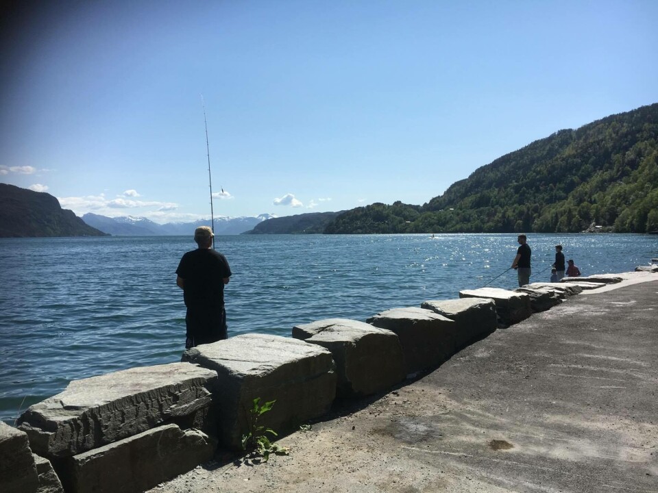Fisking etter røymd laks i Hardanger. Foto: Ørjan Solheim.