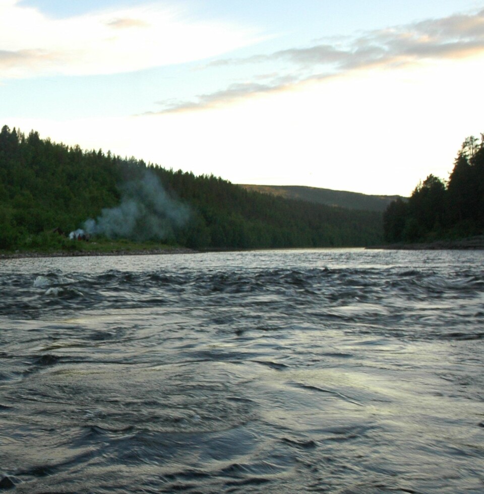 Altaelva