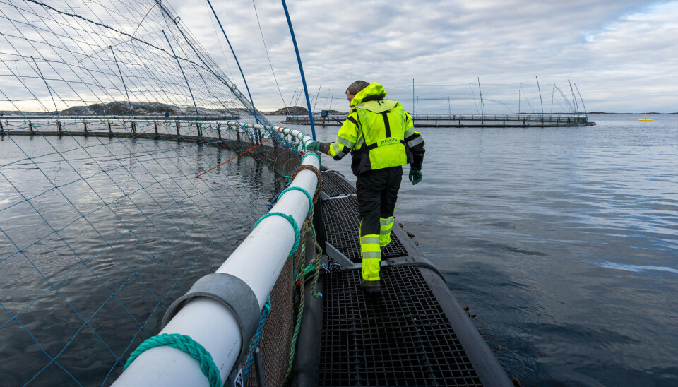 Med den nye lokaliteten Bjørnvika, har Norcod totalt seks lokaliteter langs norskekysten. Med den nye lokaliteten Bjørnvika, har Norcod totalt seks lokaliteter langs norskekysten.