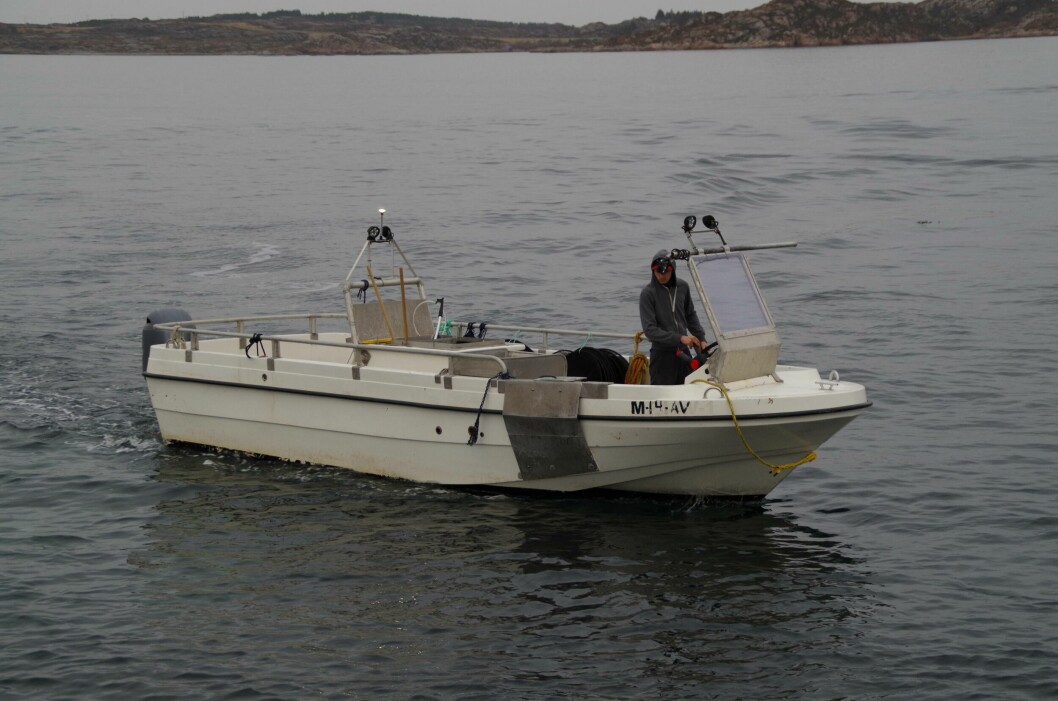 Stine er båten som til nå brukes til gjenfangst av rensefisk i laksemerdene. Foto: Rensefisk AS.