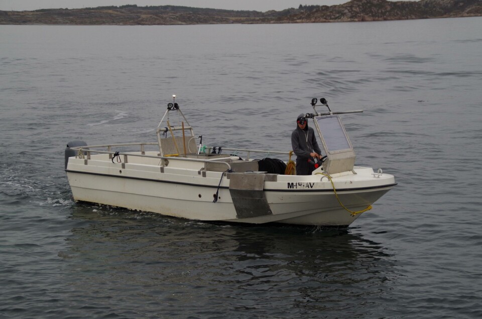 Stine er båten som til nå brukes til gjenfangst av rensefisk i laksemerdene. Foto: Rensefisk AS.