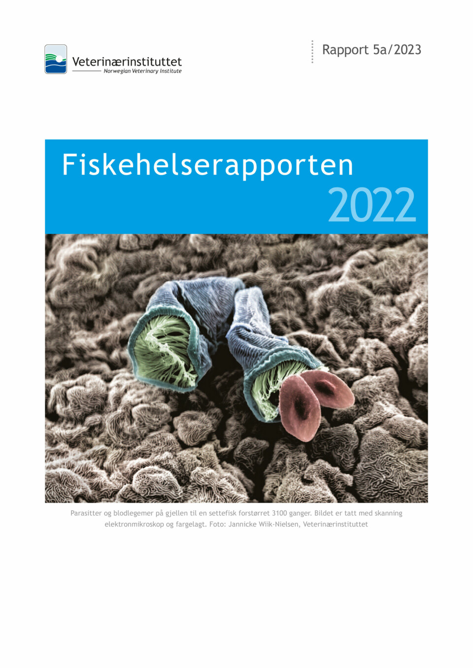 Fiskehelserapporten 2022