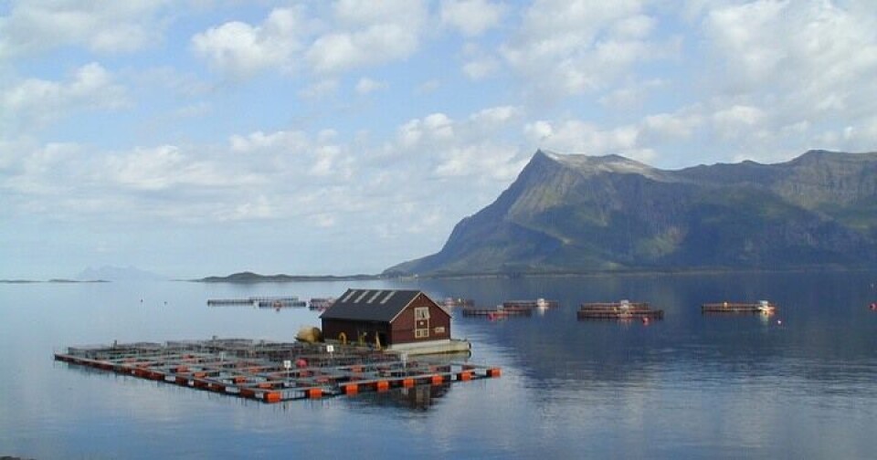 Gildeskål forskningsstasjon (gifas), merd, oppdrettsanlegg, fjell, nordland