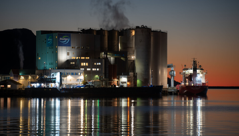 - Vi bør ikke drive strømprisene gjennom taket ved å tillate mer industri enn regionen kan bære.