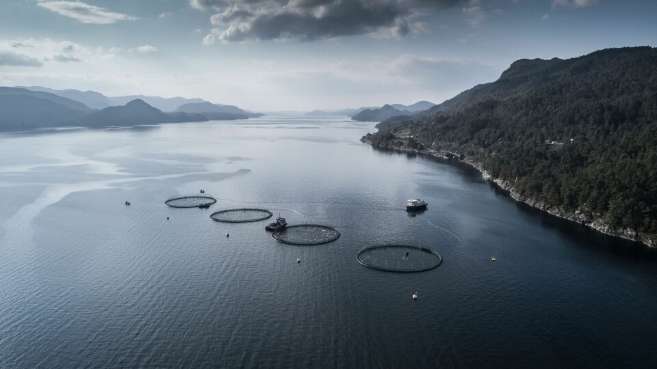 Illustrasjonsfoto fra en av Bremnes sine lokaliteter. Foto: Bremnes Seashore Illustrasjonsfoto fra en av Bremnes sine lokaliteter. Foto: Bremnes Seashore
