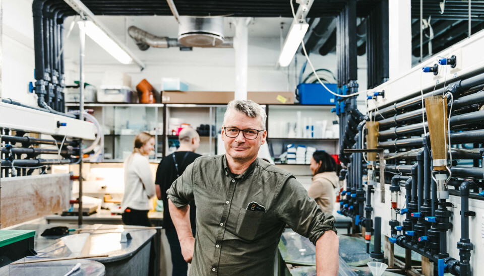 Forsker og fagansvarlig Egil Karlsbakk sier det er et skrikende behov for mer kunnskap om denne parasitten og dens slektninger. Forsker og fagansvarlig Egil Karlsbakk sier det er et skrikende behov for mer kunnskap om denne parasitten og dens slektninger.