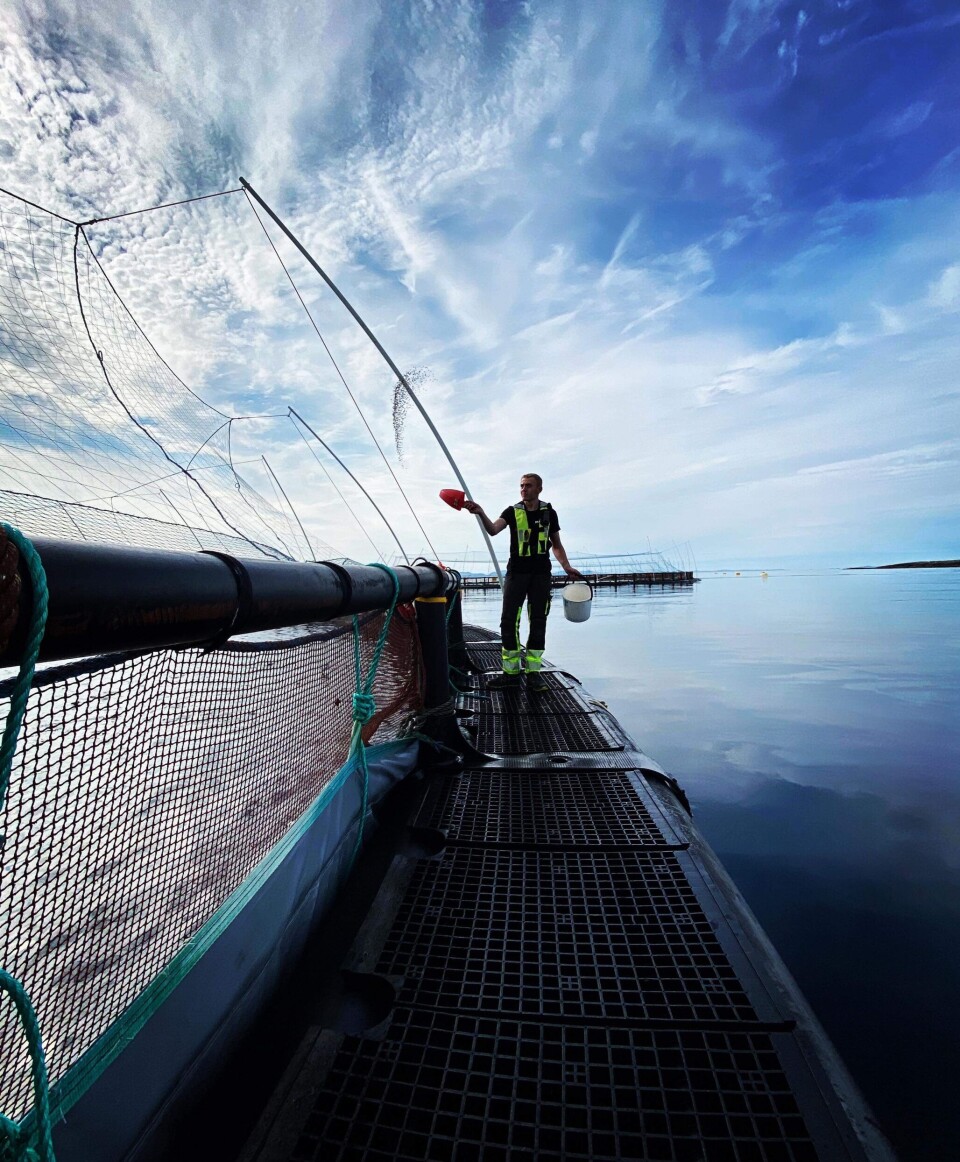 På merdkanten på en av Mowi sine lokaliteter.