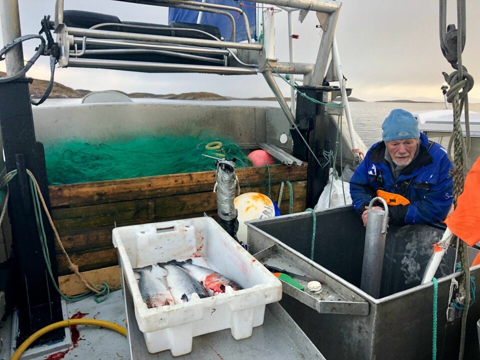 På bildet ser vi Sigurd Martin Reløy om bord i fiskebåten «Hafbjørg» , og i kassen ligger tre rømte laks. Foto: Lovundlaks
