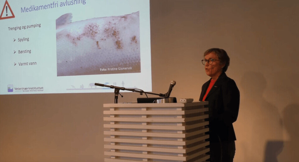 Fiskehelseansvarlig Brit Tørud fra Veterinærinstituttet snakket om velferdstrusler i laksens livssyklus under HI og Veterinærinstituttets seminar mandag. Foto: skjermdump.