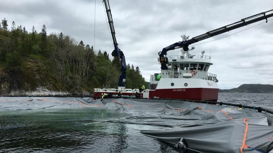 Bassenget er i sjøen og blir festa til merden det er fortøydd i. I bakgrunnen ser du brønnbåt fra Norsk Fisketransport. Foto: Plany.