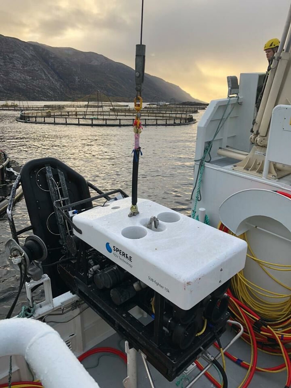 ROVer gir selskapet god kontroll på avlusningsoperasjoner. Foto: AquaMarineService