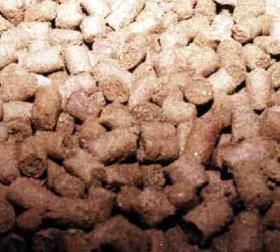 Pellets, fôr
