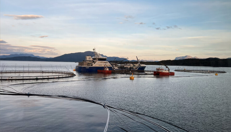 På lokalitet Gnarnesvika driver Marø Havbruk og E. Karstensen Fiskeoppdrett.