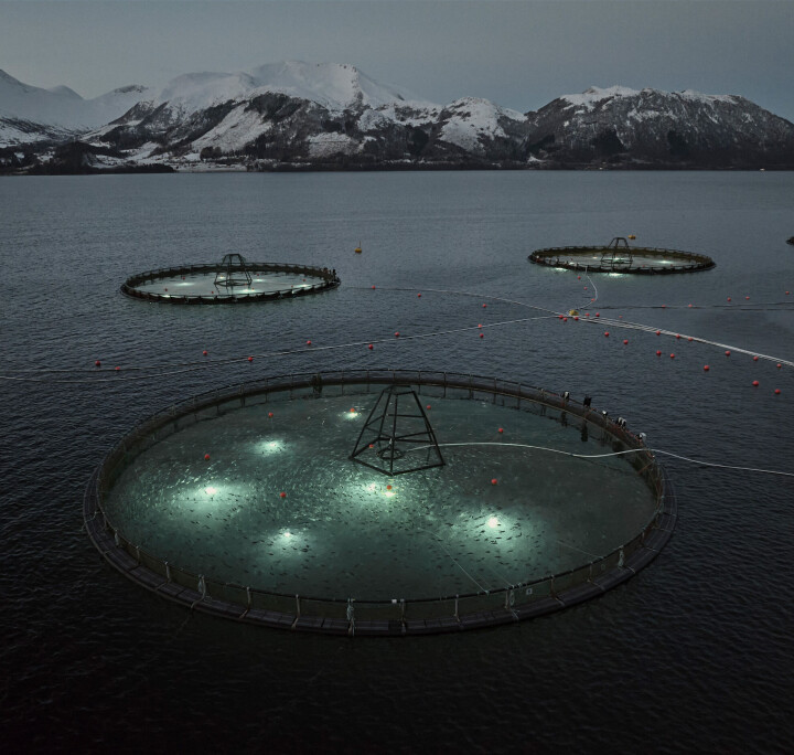 Ode har fått godkjent sin femte lokalitet i Sande kommune.