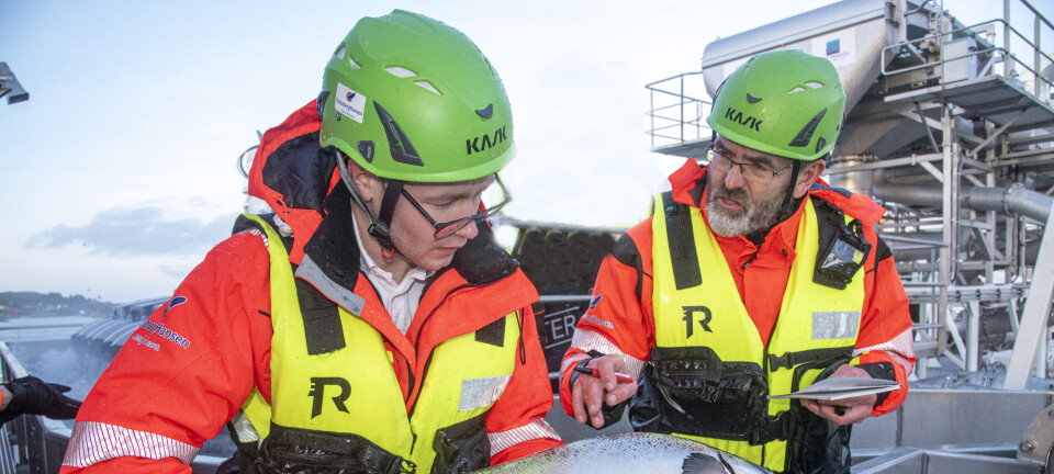 Bakteriofager slo ned yersinose-bakterier - dokumentert i fagartikkel