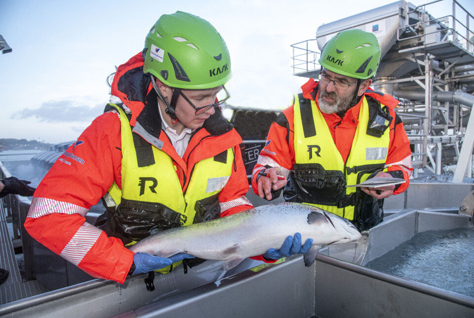 Ingen fisk som var behandlet med en spesiell type bakteriofager før transport til nye merder, fikk yersinioseutbrudd etter transporten, slik man ville forventet dersom man ikke hadde benyttet disse bakteriofagene. Ingen fisk som var behandlet med en spesiell type bakteriofager før transport til nye merder, fikk yersinioseutbrudd etter transporten, slik man ville forventet dersom man ikke hadde benyttet disse bakteriofagene.