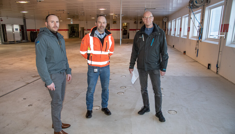 Fra venstre Kjetil Lindgjerdet (prosjektmedarbeider Val FoU), Eskil Laukvik (konsernleder fabrikk SbH) og Halvor Mortensen (styreleder BioTA) i lokalene på Marøya som nå blir arena for framtidsrettet symbiose mellom blå og grønn næringsutvikling.