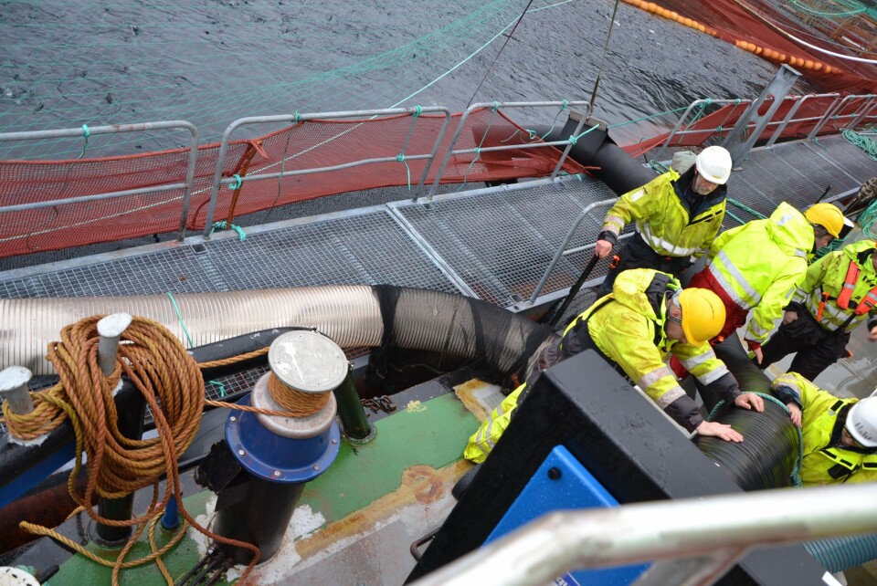 HMS på merdkanten. Illustrasjonsfoto: Linn Therese S Hosteland.