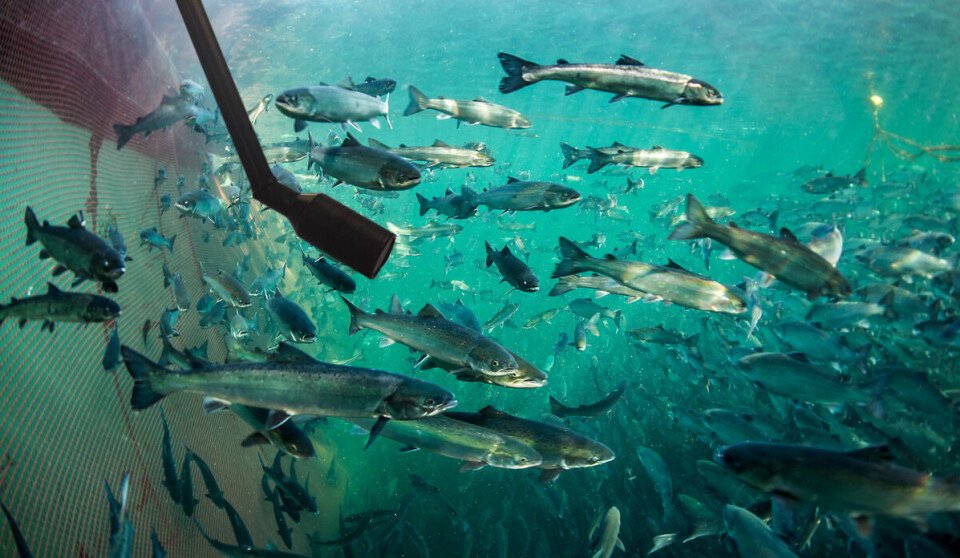 Utstyret har vært uttestet siden 2019.