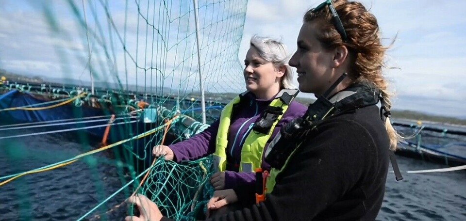 Lena Geitung forsker på hvordan snorkelmerder fungerer i praksis, og er nå på sitt tredje utsett. Mot lakselus viser forsøket så langt svært gode resultater. Video: Bremnes Seashore. Lena Geitung forsker på hvordan snorkelmerder fungerer i praksis, og er nå på sitt tredje utsett. Mot lakselus viser forsøket så langt svært gode resultater. Video: Bremnes Seashore.