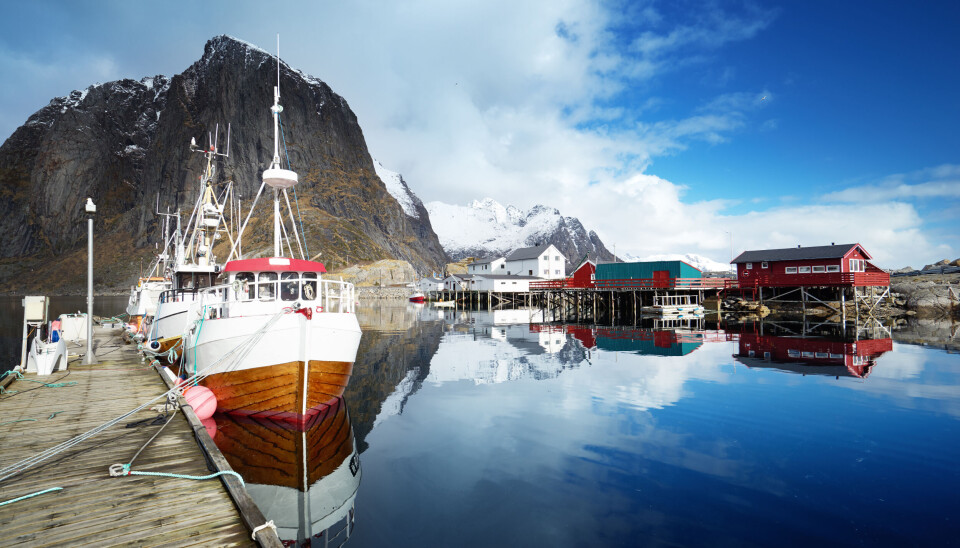 Les kronikken: Torskens betydning i Nord