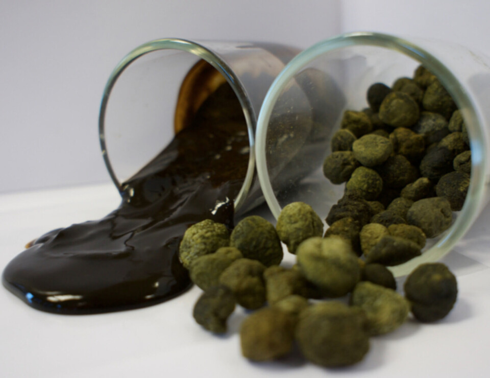 Illustrasjonsfoto av mikroalger (t.v.) og ferdig laksefor.