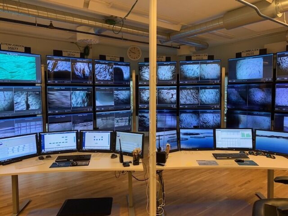 Fra denne sentralen kan Midt-Norsk Havbruk ha kontroll på fem lokaliteter og 36 ulike merder. Det har gitt de en god oversikt og kontroll over fisken. Foto: Midt-Norsk Havbruk.