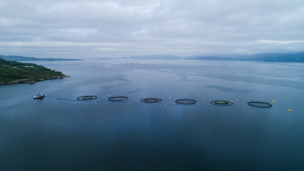 Bremnes Seashore fikk 18. januar påvist ILA på lokaliteten Låva i Rogaland, nå slakter oppdrettsselskapet ut laksen som var av slakteklar størrelse. Foto: Bremnes Seashore.