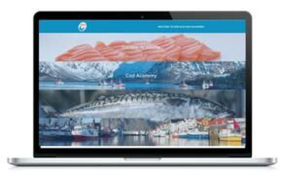 Sjømatrådets nye nettressurs, fromnorwa.com. Foto: Norges sjømatråd.
