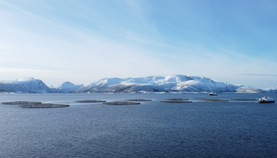 Holmøy Maritime AS (Lokalitet Reinsnes med tråleren Holmøy) Holmøy Maritime AS (Lokalitet Reinsnes med tråleren Holmøy)
